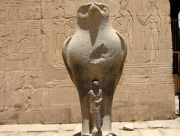 ���ɥա��ۥ륹����