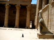 ���ɥա��ۥ륹����