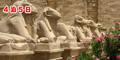 エジプト個人旅行ツアールクソール
