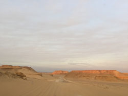 砂丘の多い砂漠